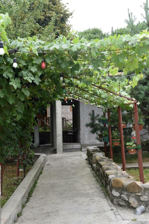 Bed and Breakfast Nikala Telavi Exterior foto